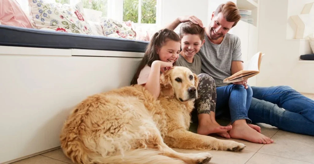 pet-friendly mobile homes for rent